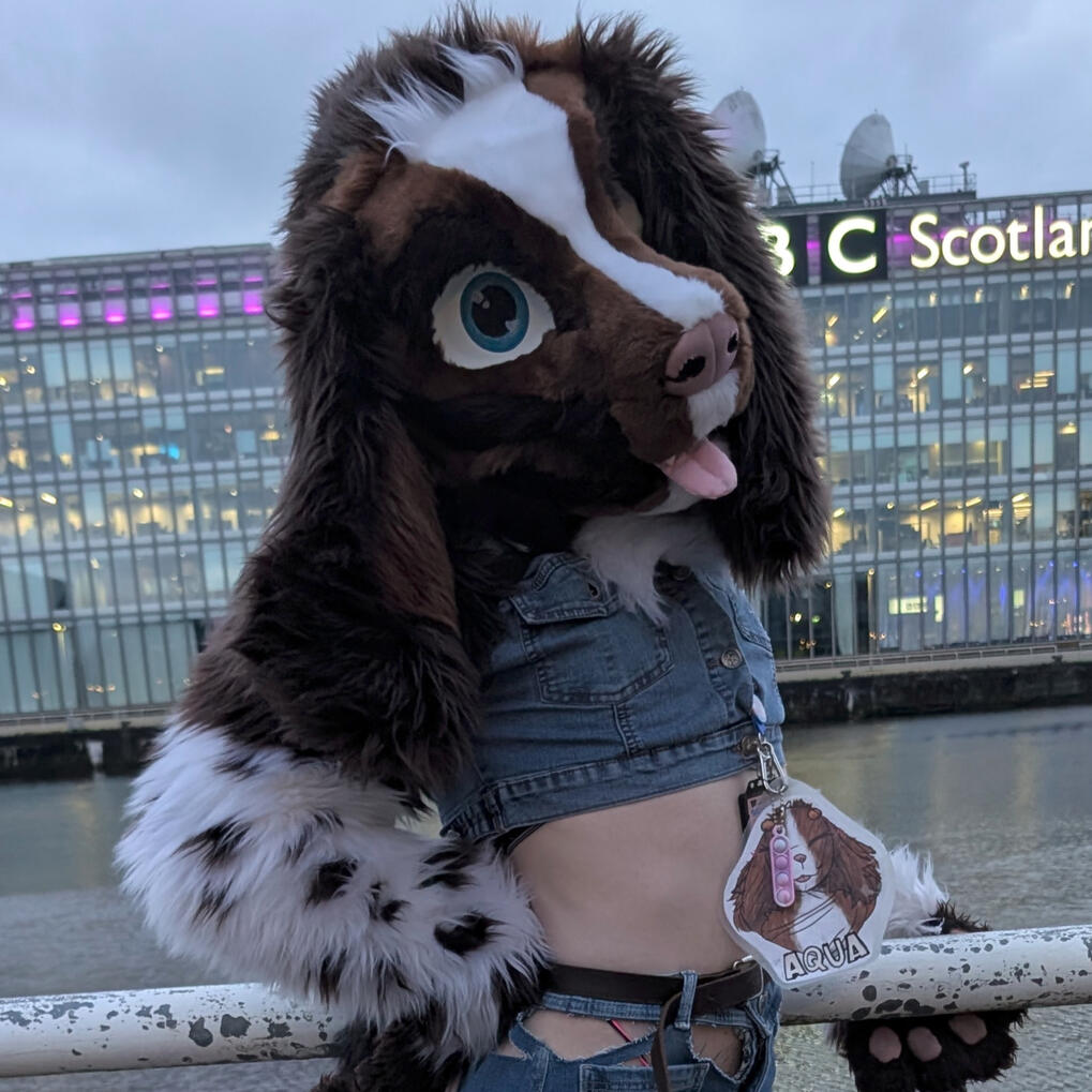 Fursuits Commissions